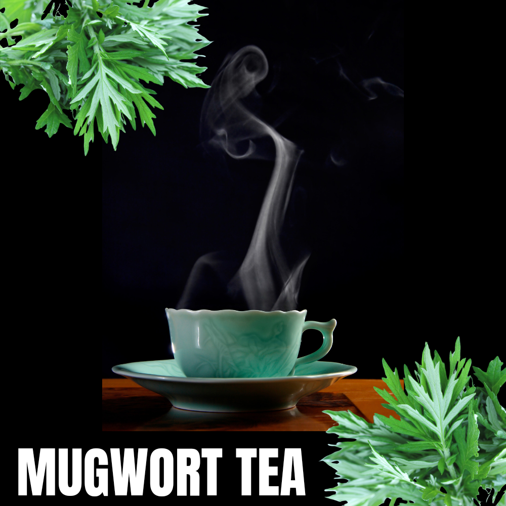 Mugwort herbal tea | loose leaf|
Artemisia vulgaris - Healthi Choice Farmacy