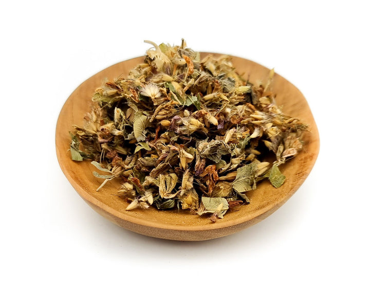 Red Clover Herbal Tea | Trifolium pratense - Healthi Choice Farmacy