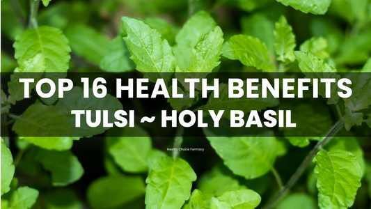 Top 16 Health Benefits of Holy Basil | TULSI | The Queen of Herbs | Herbal Materia Medica