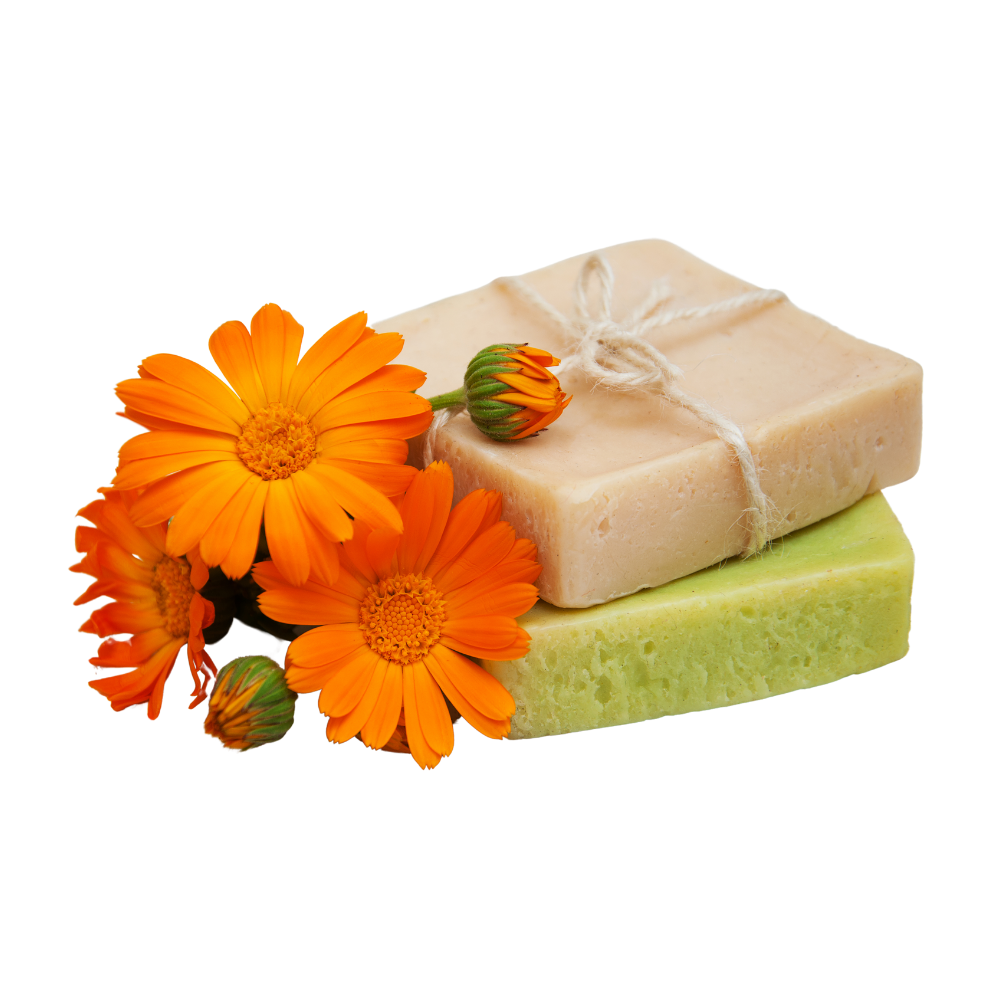 Calendula Flowers - Bath soak addition - Healthi Choice Farmacy 