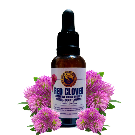 Red clover (Trifolium pratense) Liquid extract Herbal Tincture natural herbal supplement - Healthi Choice Farmacy 