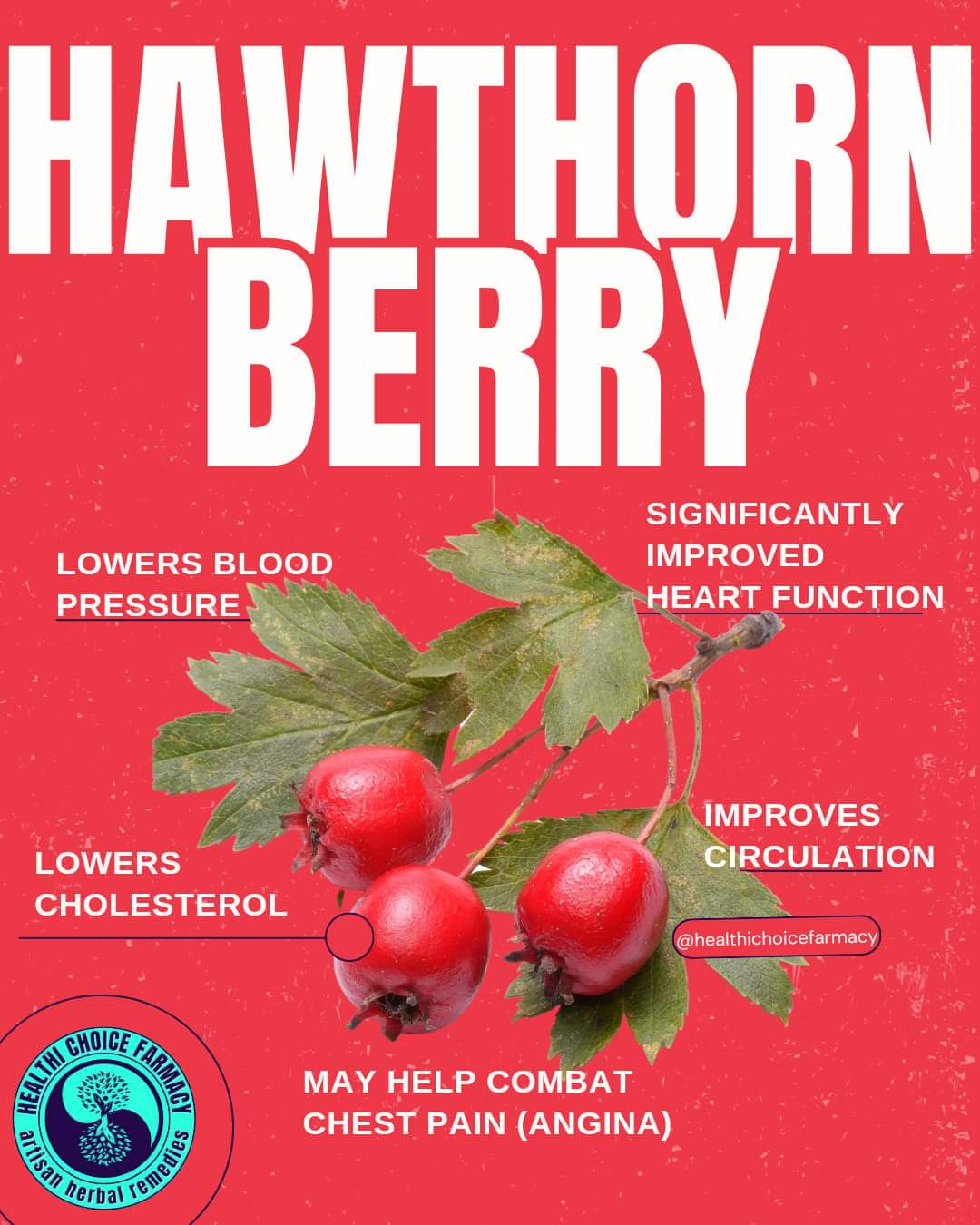 Hawthorn Berries, Leaf & Flower - Healthi Choice Farmacy 