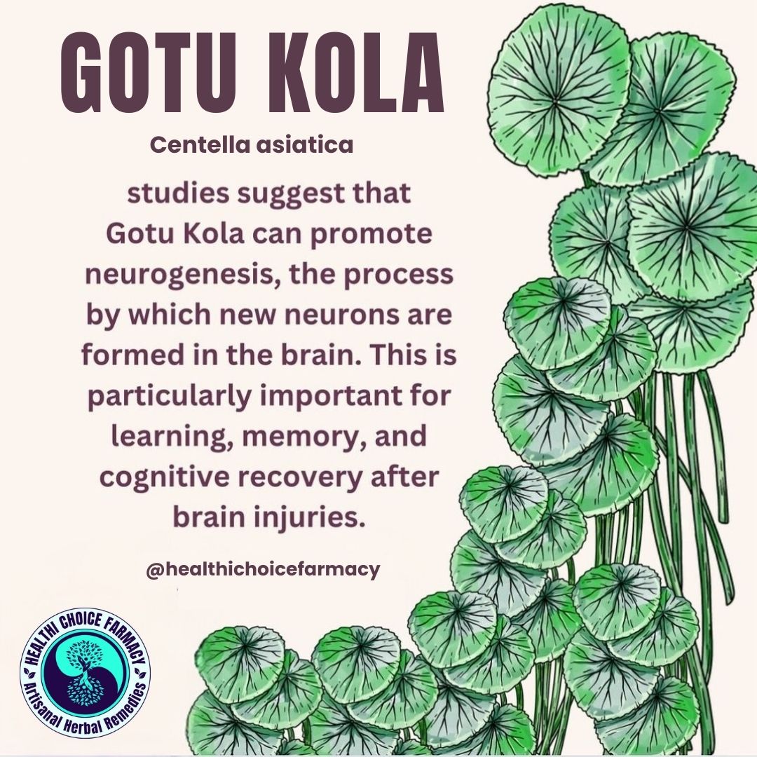 Gotu Kola Leaf | Centella asiatica |Organic