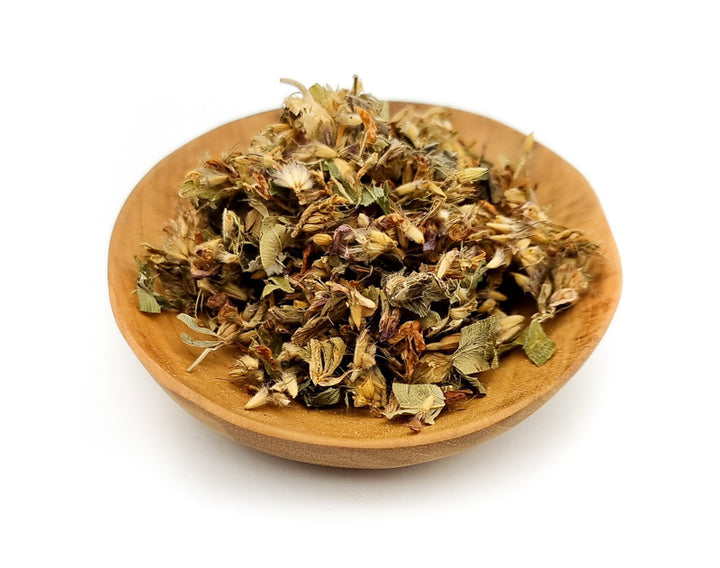 Red Clover Herbal Tea | Trifolium pratense - Healthi Choice Farmacy 